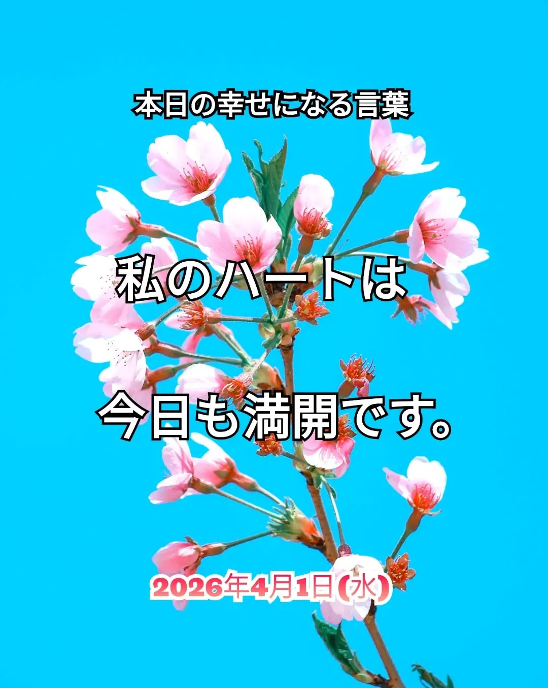 スピリチュアルヒーリングセンター