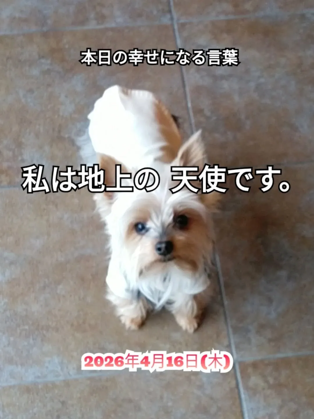 スピリチュアルヒーリングセンター