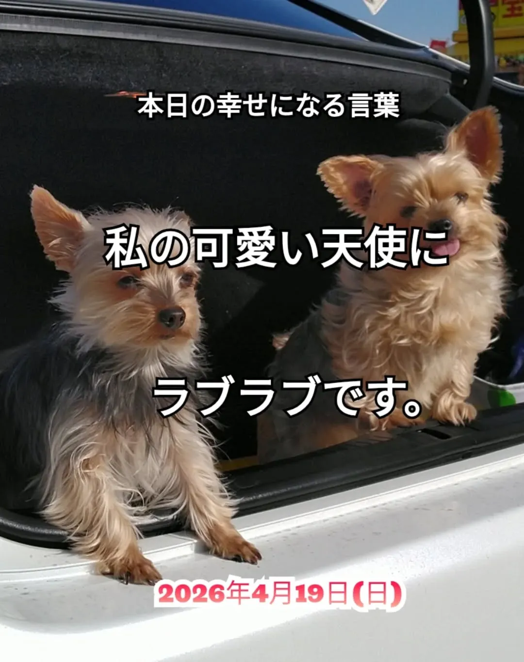 スピリチュアルヒーリングセンター