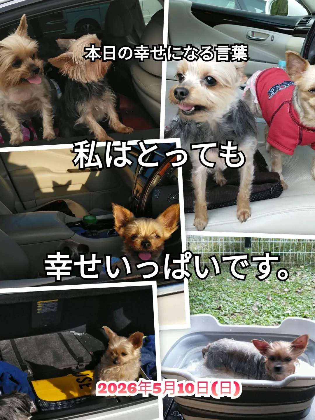 スピリチュアルヒーリングセンター