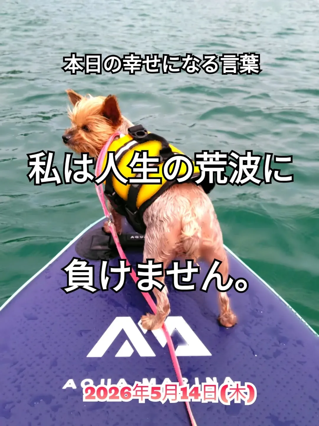 スピリチュアルヒーリングセンター