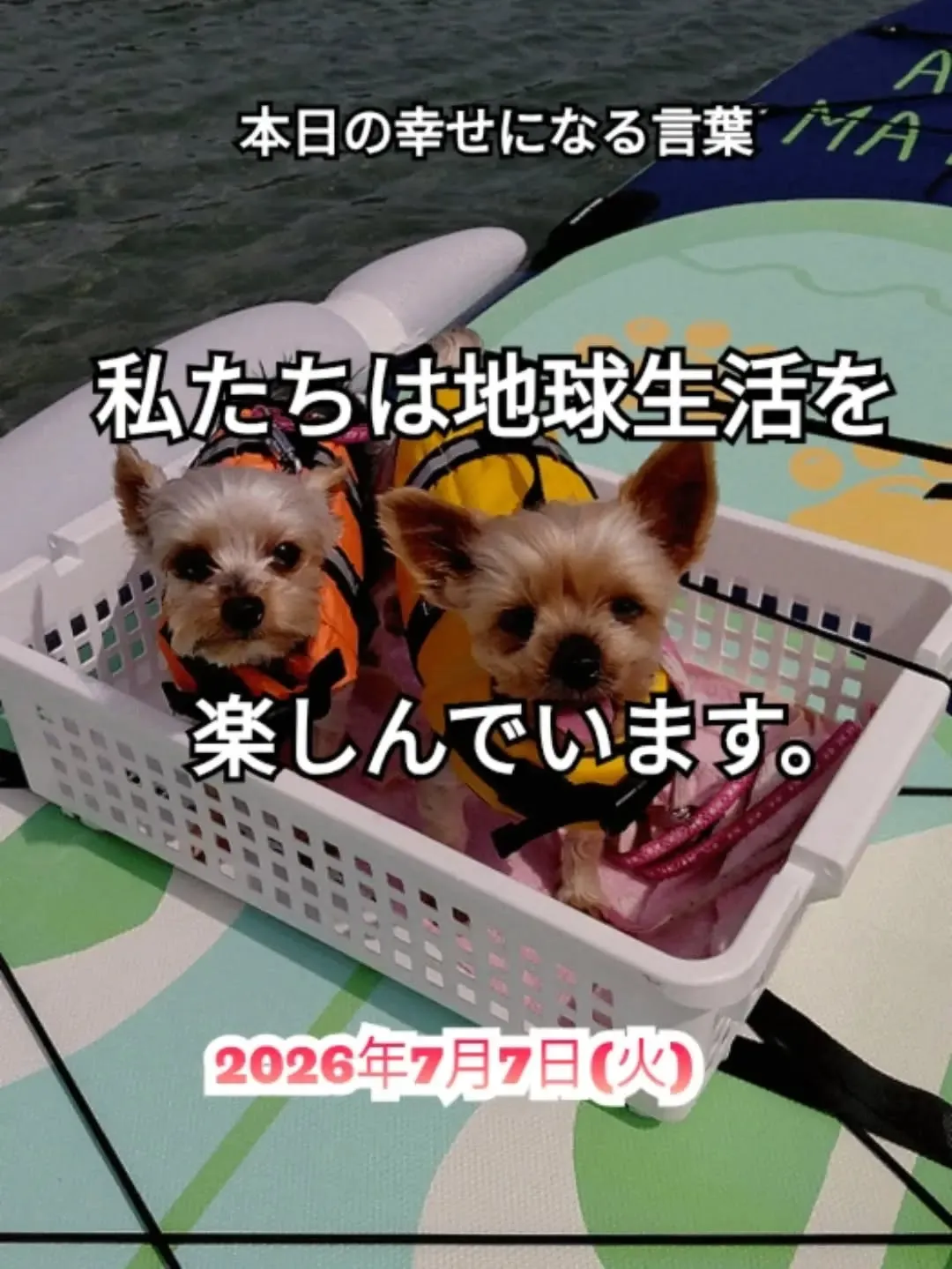 ピリチュアルヒーリングセンター