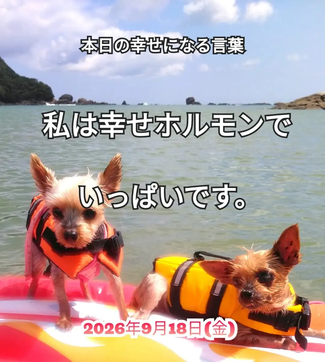 スピチュアルヒーリングセンター