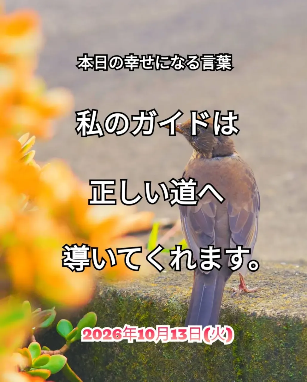 スピチュアルヒーリングセンター